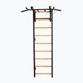 BenchK Gymnastikleiter schwarz BK-731B 2
