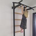 BenchK Gymnastikleiter schwarz BK-221B 20