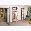 BenchK Gymnastikleiter schwarz BK-221B 16