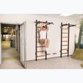 BenchK Gymnastikleiter schwarz BK-221B 18