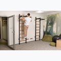 BenchK Gymnastikleiter schwarz BK-221B 15