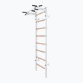 BenchK Gymnastikleiter weiß BK-221W