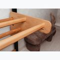 BenchK Gymnastikleiter schwarz BK-212B+A076 12