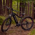 Ecobike RX500 17.5Ah LG Elektrofahrrad schwarz 1010406 18