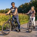 Ecobike MX300 LG Elektrofahrrad schwarz 1010307 22