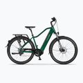 Elektrofahrrad EcoBike MX 300/X300 14Ah LG grün 1010314