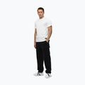 Shirt Herren Pitbull No Logo white 2