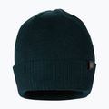 Wintermütze für Männer Pitbull West Coast Beanie Small Logo dark green 2