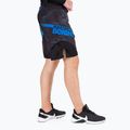 Grappling-Shorts für Männer Pitbull West Coast Grappling Master Of Boxing black 3