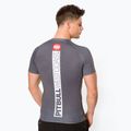 Rashguard für Männer Pitbull West Coast T-S Rash Hilltop grey/melange 3