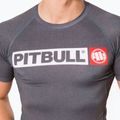 Rashguard für Männer Pitbull West Coast T-S Rash Hilltop grey/melange 4