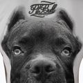 Damen-T-Shirt Pitbull West Coast Ir white 3