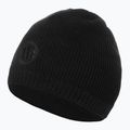 Wintermütze Herren Pitbull Beanie Mills Logo black
