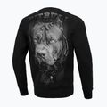 Herren Pitbull West Coast Born In 1989 Crewneck Sweatshirt schwarz 3