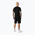 Shorts Herren Pitbull West Coast Dolphin black 2
