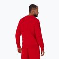 Sweatshrit Herren Pitbull Sherwood Crewneck red 3