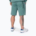 Pitbull West Coast Herren Explorer Shorts mint 4