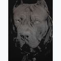 Pitbull West Coast Born In 1989 Männer-T-Shirt 214039900001 schwarz 8