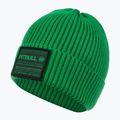 Herren Wintermütze Pitbull Beanie Dock grün