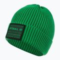 Wintermütze Herren Pitbull Beanie Dock green