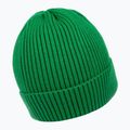 Herren Wintermütze Pitbull Beanie Dock grün 2