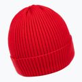 Wintermütze Herren Pitbull Beanie Dock red 2