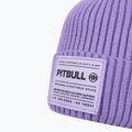 Wintermütze Herren Pitbull Beanie Dock Lilac 3