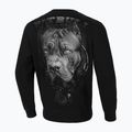 Herren Pitbull West Coast Crewneck Sweatshirt Born In 1989 schwarz 2