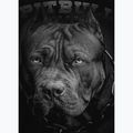 Hoodie Herren Pitbull Hooded Born In 1989 black 4