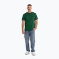 Shirt Herren Pitbull Small Logo leaf green 2