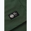 Shirt Herren Pitbull Small Logo green 12