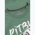 Shirt Damen Pitbull Puppy 2 mint 6