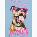 Shirt Damen Pitbull Synglasses Dog light blue 8
