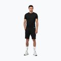Pitbull Dogwood Sport Herren-Shorts schwarz 2