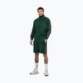Hoodie Sweatshirt Herren Pitbull Track Jacket Powers bottle green 2