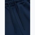 Hose Herren Pitbull Track Pants Powers royal blue 3