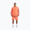 Hoodie Sweatshirt Herren Pitbull Tape Nugget Crewneck Sweatshirt bright salmon 2