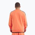 Hoodie Sweatshirt Herren Pitbull Tape Nugget Crewneck Sweatshirt bright salmon 3