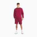 Hoodie Sweatshirt Herren Pitbull Tape Nugget Crewneck Sweatshirt burgundy 2