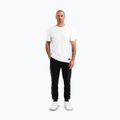 Hose Herren Pitbull Tape Nugget Jogging black 2