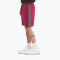 Shorts Herren Pitbull Tape Nugget burgundy 4