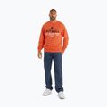 Herren Pitbull Surfing Dog Crewneck Sweatshirt hell lachsfarben 2