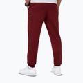 Hose Herren Pitbull Nugget Jogging burgundy 2