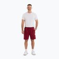 Shorts Herren Pitbull Nugget burgundy 2