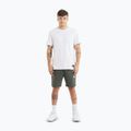 Shorts Herren Pitbull Nugget old green 2