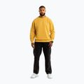 Hoodie Sweatshirt Herren Pitbull Lancaster 2 Crewneck Sweatshirt washed yellow 2