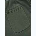 Hose Herren Pitbull Lancaster 2 Track Pants sage green 9