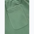 Hose Herren Pitbull Lancaster 2 Track Pants washed green 8