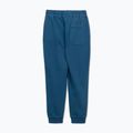Hose Herren Pitbull Lancaster 2 Track Pants shade blue 8