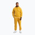 Hose Herren Pitbull Lancaster 2 Track Pants washed yellow 2